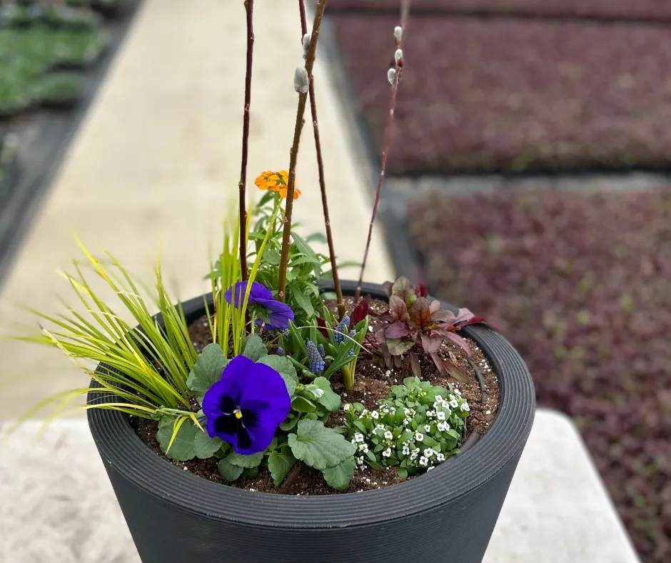 Do It Yourself (DIY) Planter Subscription Kit