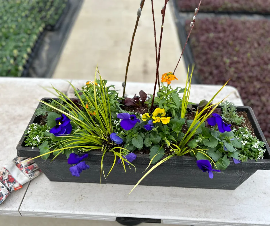 Do It Yourself (DIY) Planter Subscription Kit