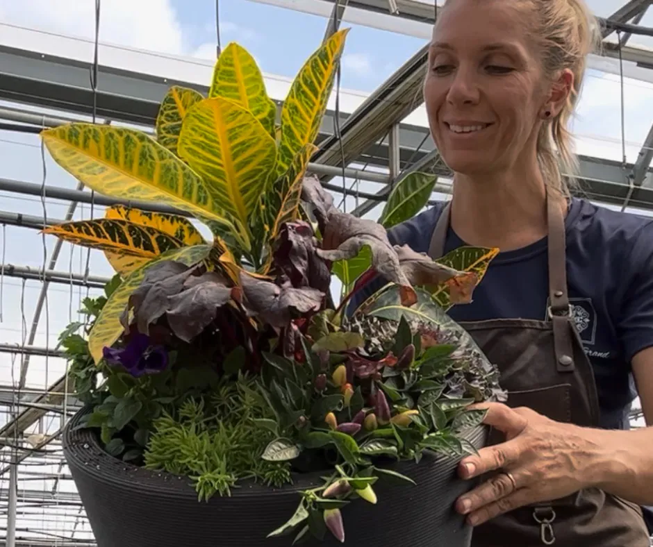 Do It Yourself (DIY) Planter Subscription Kit
