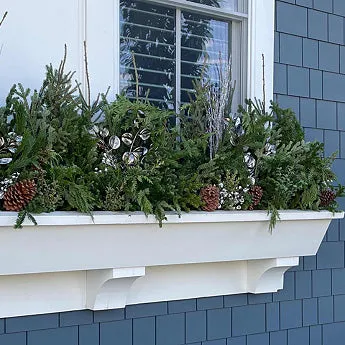 Do It Yourself (DIY) Planter Subscription Kit