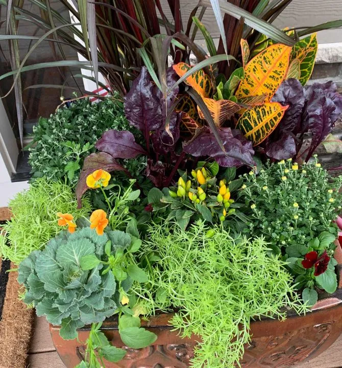 Do It Yourself (DIY) Planter Subscription Kit