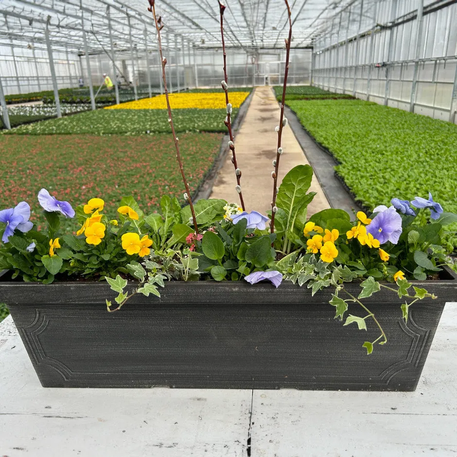 Do It Yourself (DIY) Planter Subscription Kit