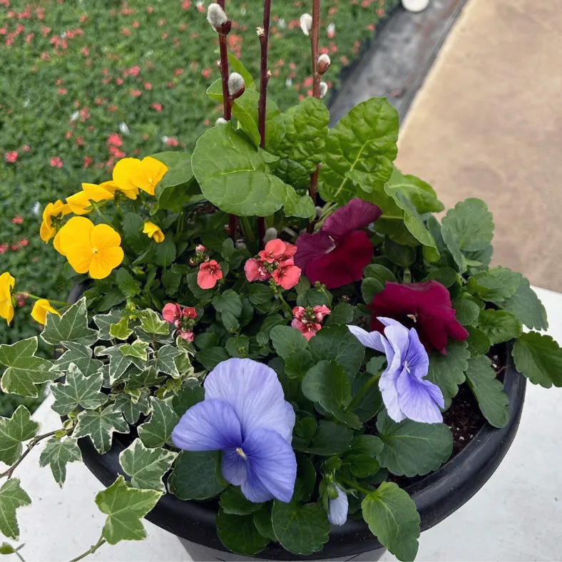 Do It Yourself (DIY) Planter Subscription Kit