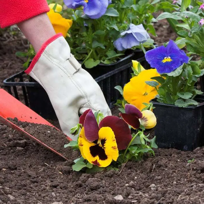Do It Yourself (DIY) Planter Subscription Kit