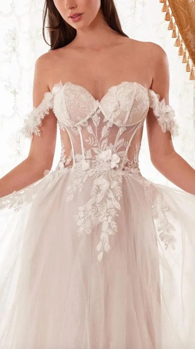 Nova Off Shoulder Bustier Floral Applique Tulle Wedding Dress: French White