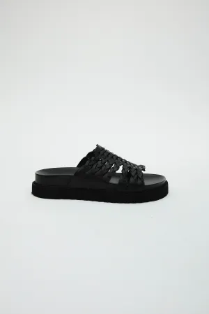 Petra Black